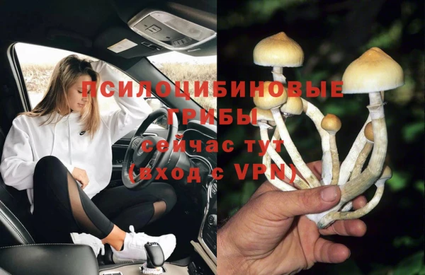 MDMA Premium VHQ Инсар