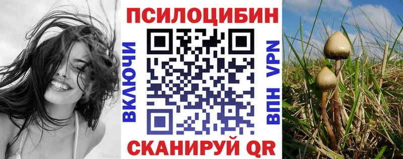 Купить закладки  Вичуга  Галлюциногенные грибы ЛСД 